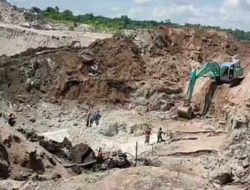 Merasa di Koordinir Oknum Anggota, MD Hancurkan Kawasan HLP. KPHP Jebu Bembang Antan Pilih  Aksi Bungkam