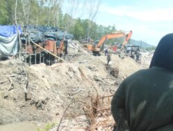 Tambang Timah Ilegal Menggerus Hutan Lindung Sungailiat: Puluhan TI Tower Beroperasi di Kawasan Bakau, Aparat Dinilai Tutup Mata