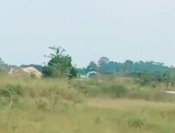 Diduga Tambang Timah Ilegal Milik AN Beroperasi di Kawasan Hutan Lindung Toboali